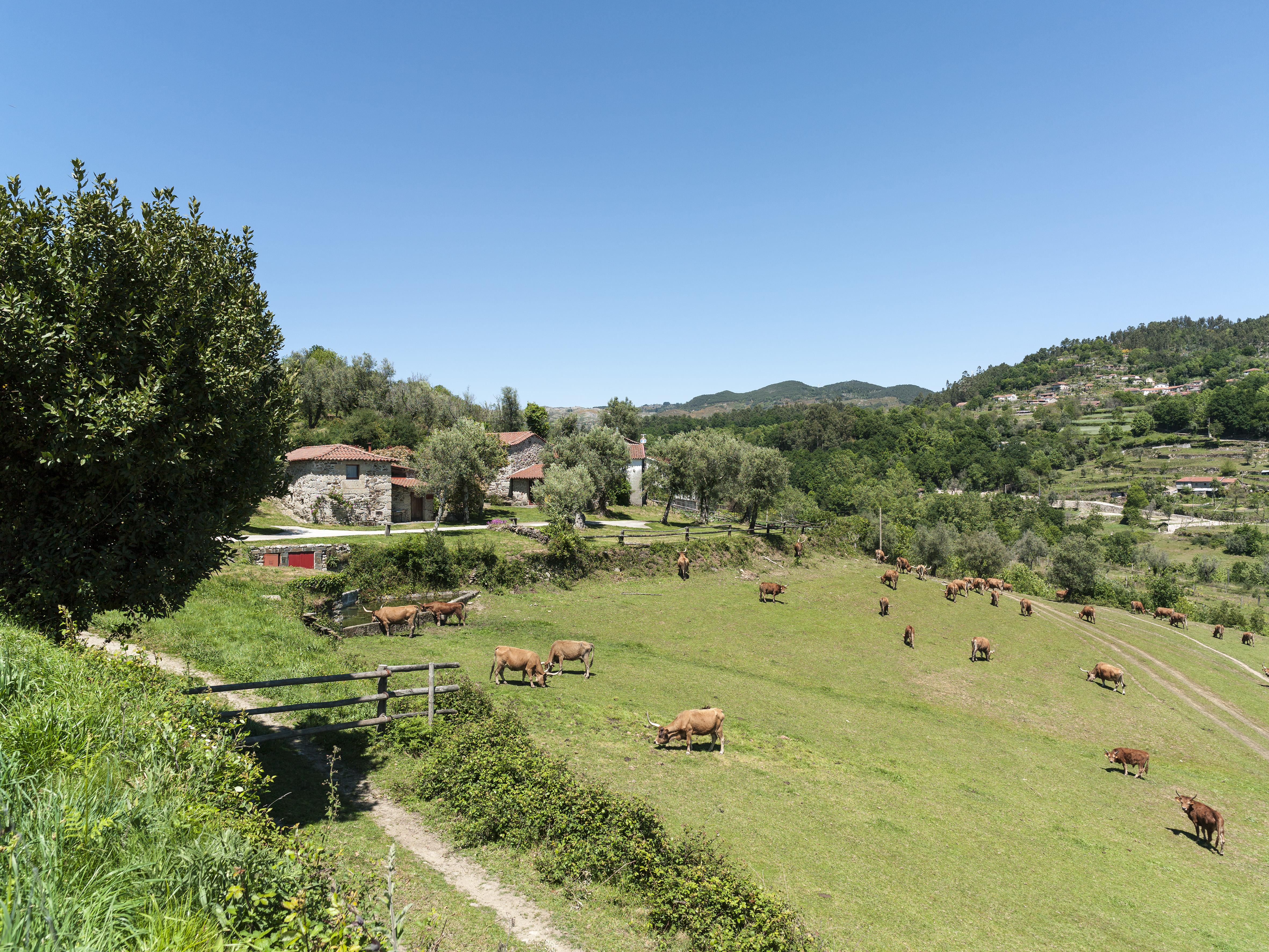 فيلا Quinta Do Rapozinho كابيسيراس دى باستو المظهر الخارجي الصورة