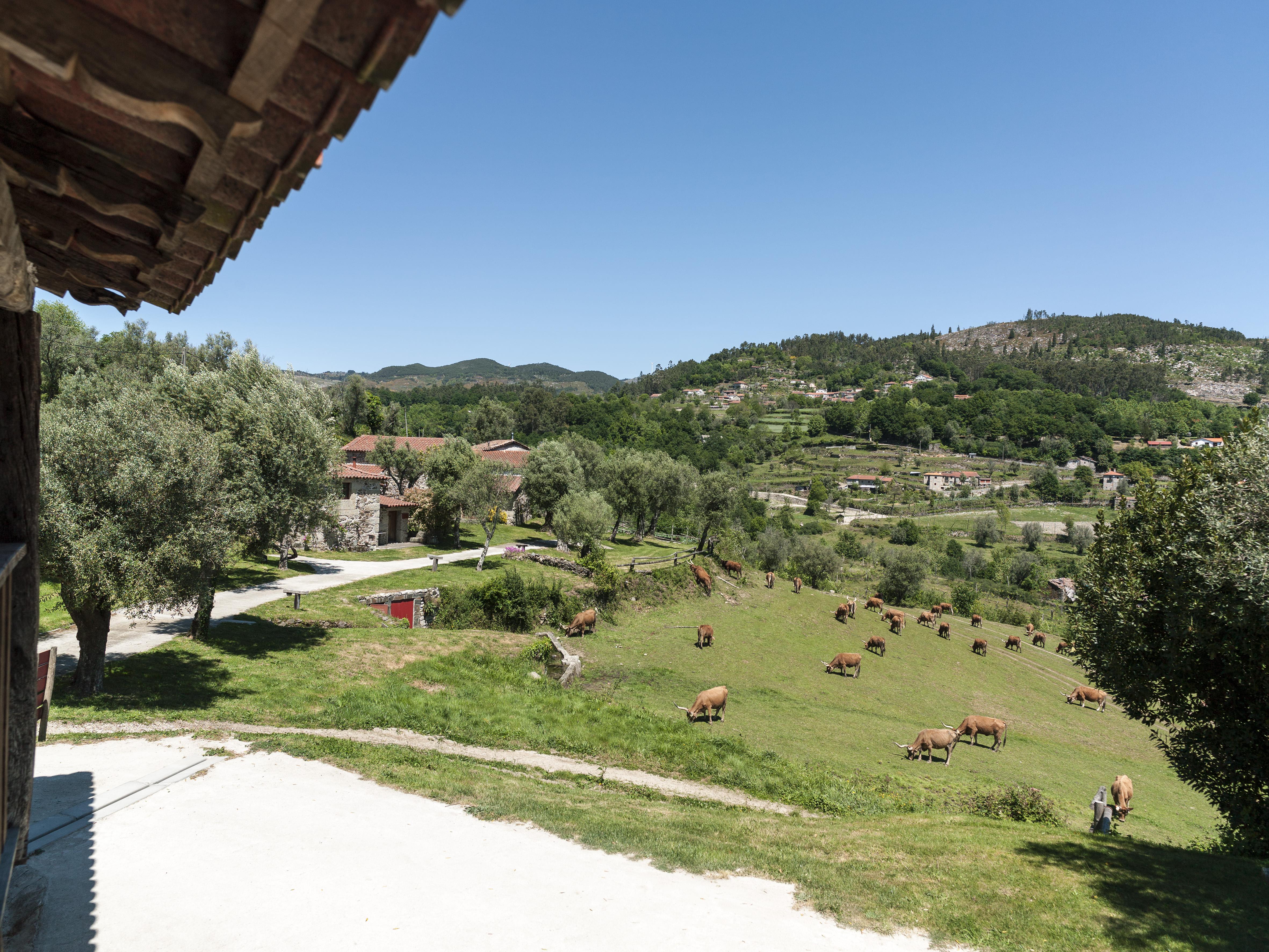 فيلا Quinta Do Rapozinho كابيسيراس دى باستو المظهر الخارجي الصورة